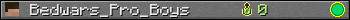 Bedwars_Pro_Boys userbar 350x20