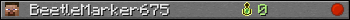 BeetleMarker675 userbar 350x20