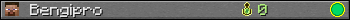 Bengipro userbar 350x20