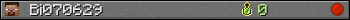 Bi070629 userbar 350x20