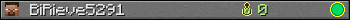 BiRieve5291 userbar 350x20