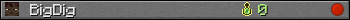 BigDig userbar 350x20