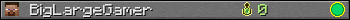 BigLargeGamer userbar 350x20