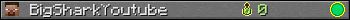 BigSharkYoutube userbar 350x20