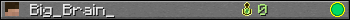 Big_Brain_ userbar 350x20