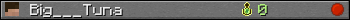 Big___Tuna userbar 350x20