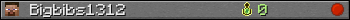 Bigbibs1312 userbar 350x20