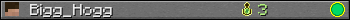 Bigg_Hogg userbar 350x20