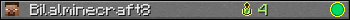 Bilalminecraft8 userbar 350x20