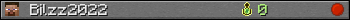 Bilzz2022 userbar 350x20