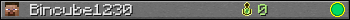 Bincube1230 userbar 350x20