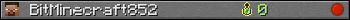 BitMinecraft852 userbar 350x20