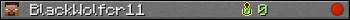 BlackWolfcr11 userbar 350x20