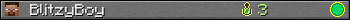 BlitzyBoy userbar 350x20