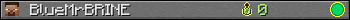 BlueMrBRINE userbar 350x20