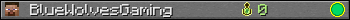 BlueWolvesGaming userbar 350x20