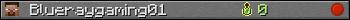 Blueraygaming01 userbar 350x20