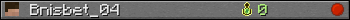 Bnisbet_04 userbar 350x20