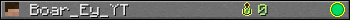 Boar_Ey_YT userbar 350x20