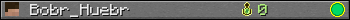 Bobr_Huebr userbar 350x20