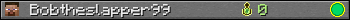 Bobtheslapper99 userbar 350x20