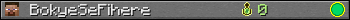 BokyeSeFihere userbar 350x20