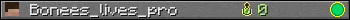 Bonees_lives_pro userbar 350x20