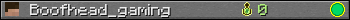 Boofhead_gaming userbar 350x20