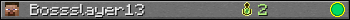 Bossslayer13 userbar 350x20