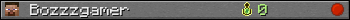 Bozzzgamer userbar 350x20