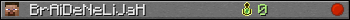 BrAiDeNeLiJaH userbar 350x20