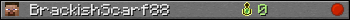 BrackishScarf88 userbar 350x20