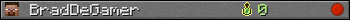 BradDeGamer userbar 350x20