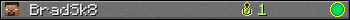 BradSk8 userbar 350x20