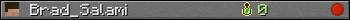 Brad_Salami userbar 350x20