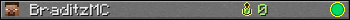 BraditzMC userbar 350x20