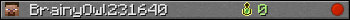 BrainyOwl231640 userbar 350x20