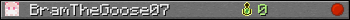 BramTheGoose07 userbar 350x20