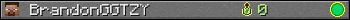 BrandonGGTZY userbar 350x20