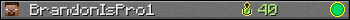 BrandonIsPro1 userbar 350x20