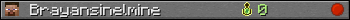 Brayansinelmine userbar 350x20