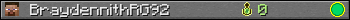 BraydennithRG92 userbar 350x20