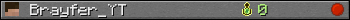 Brayfer_YT userbar 350x20