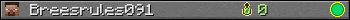 Breesrules091 userbar 350x20