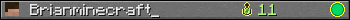 Brianminecraft_ userbar 350x20