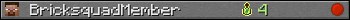 BricksquadMember userbar 350x20