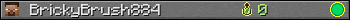 BrickyBrush884 userbar 350x20