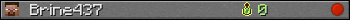 Юзербар 350x20 для Brine437