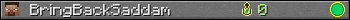 BringBackSaddam userbar 350x20