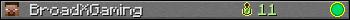 BroadXGaming userbar 350x20